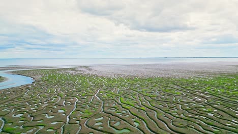 Pisos-De-Barro-Agrietados-En-Una-Marisma