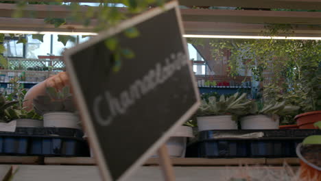 woman in a flower shop