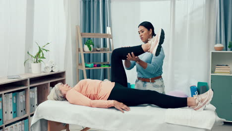fisioterapeuta y rehabilitación