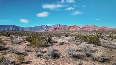 sunny day at red rock canyon las vegas