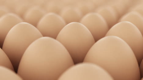 Eggs-seamless-animation.-Perfect-for-anything-related-to-healthy-food,-easters,-eggs-production-and-food-industry-in-general.-Huge-amount-of-chicken’s-eggs-standing-one-next-to-another.-Loopable.-HD