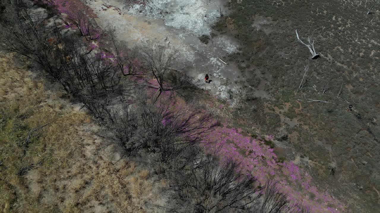Persone che camminano sul letto prosciugato del lago Taarbin distrutto dall'aumento dei livelli di salinità, Australia Occidentale