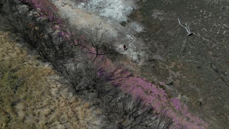 people walking on taarbin dry lake bed destroyed by rising salinity levels, western australia