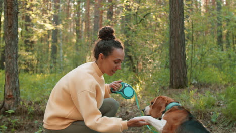 mujer caminando perro beagle en el bosque