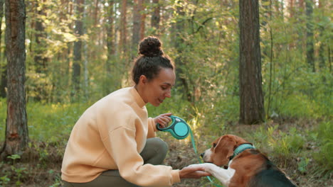 woman walking beagle dog in forest