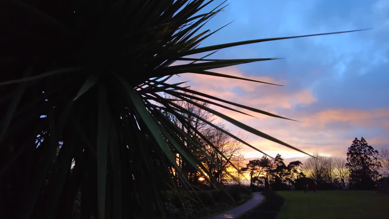 madre con el cochecito caminando en el parque al atardecer