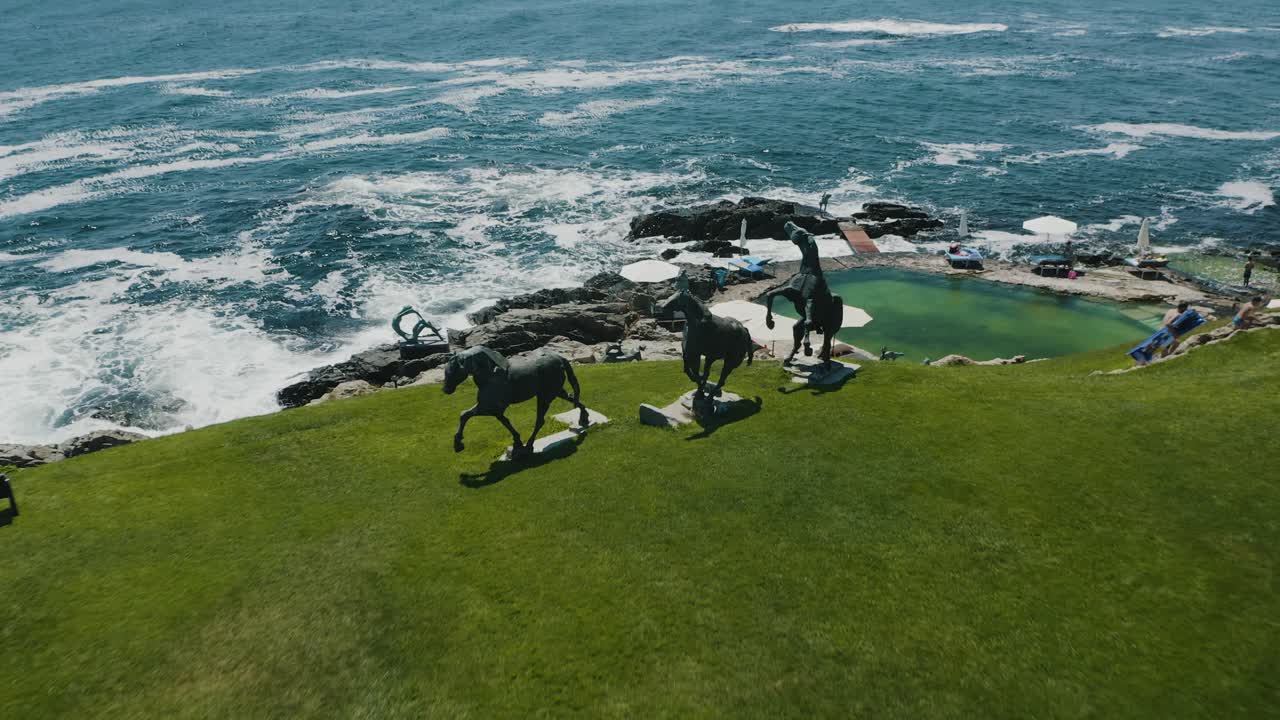 바다 해안 주변의 말