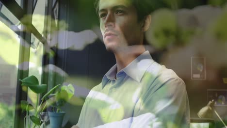 animación de las plantas sobre el hombre de negocios caucásico en la oficina