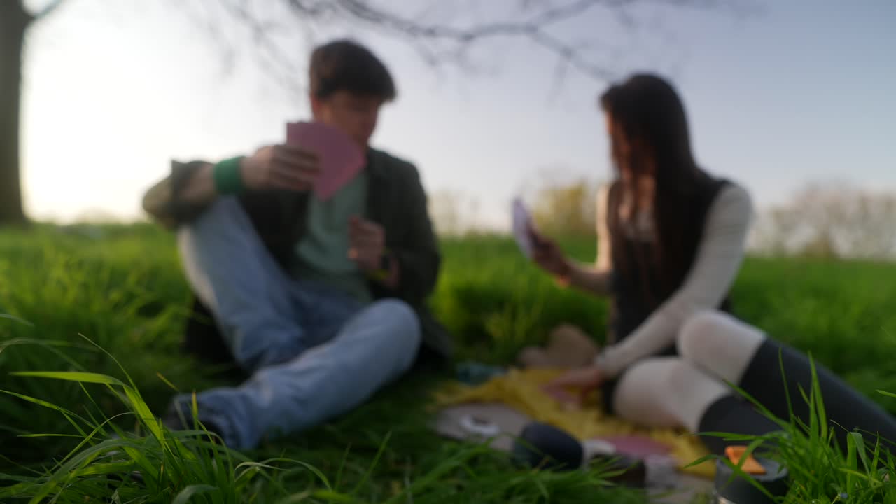 Couple Relaxing at a Picnic in the Park
