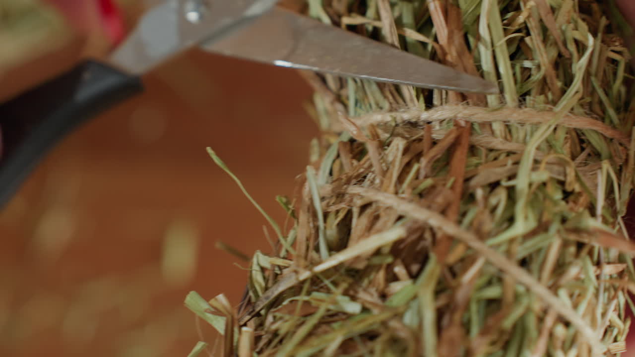 Closeup macro view of straw wreath crafting process showing red nail polished hands preparing dried grass material tied with twine for rustic eco decoration and handmade artisan floral arrangement project