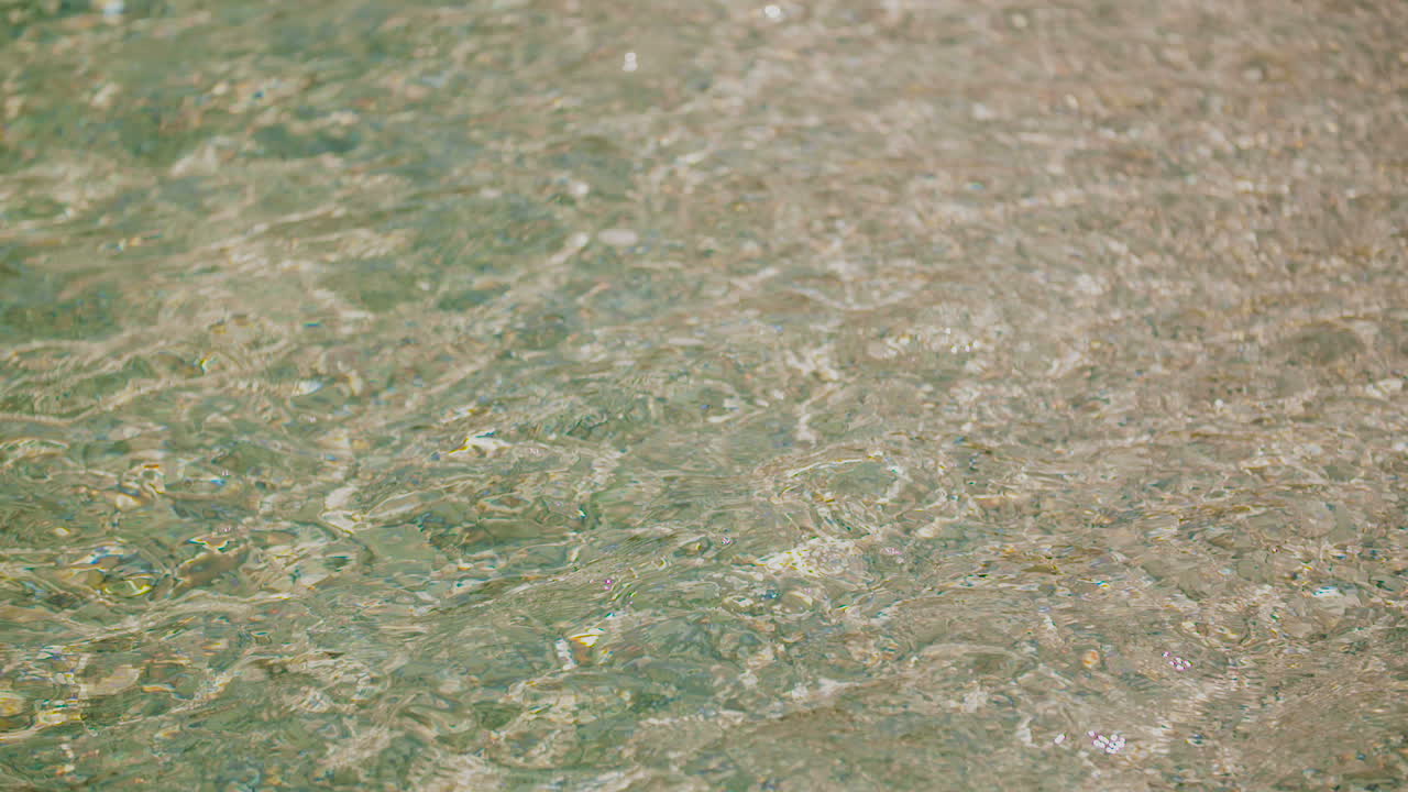 반짝이는 푸른 수면