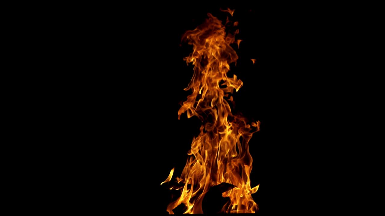 Burning fire at night, campfire bonfire. Slow motion