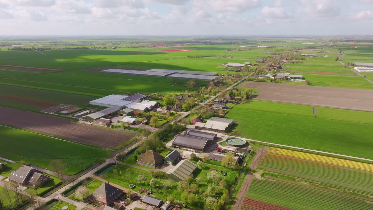 Marker med drivhuse indrammet af græssende køer ved solopgang, Holland
