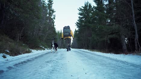 Montañero-Con-Perro-Malamute-De-Alaska-Escalando-En-Un-Sendero-Nevado-Cerca-De-Trondheim,-Noruega