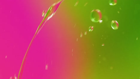 animation of bubbles moving on pink and green background with copy space