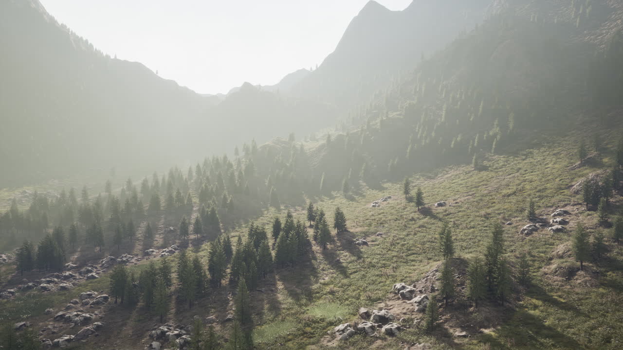 alpes suizos con prados verdes alpinos en una ladera y rodeados de bosques