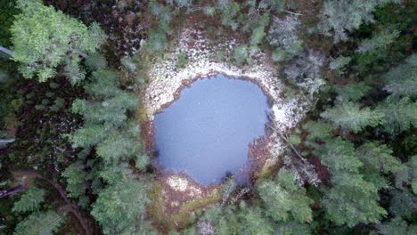항공 드론 영상은 스코틀랜드의 cairngorms 국립 공원의 소나무 숲 한가운데에서 녹는 얼음으로  ⁇ 인 호수 위로 높이 올라갑니다. 호수의 가장자리에 작은 먼지와 눈이 쌓여 있습니다.