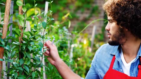 Gardener-taking-notes-of-plants