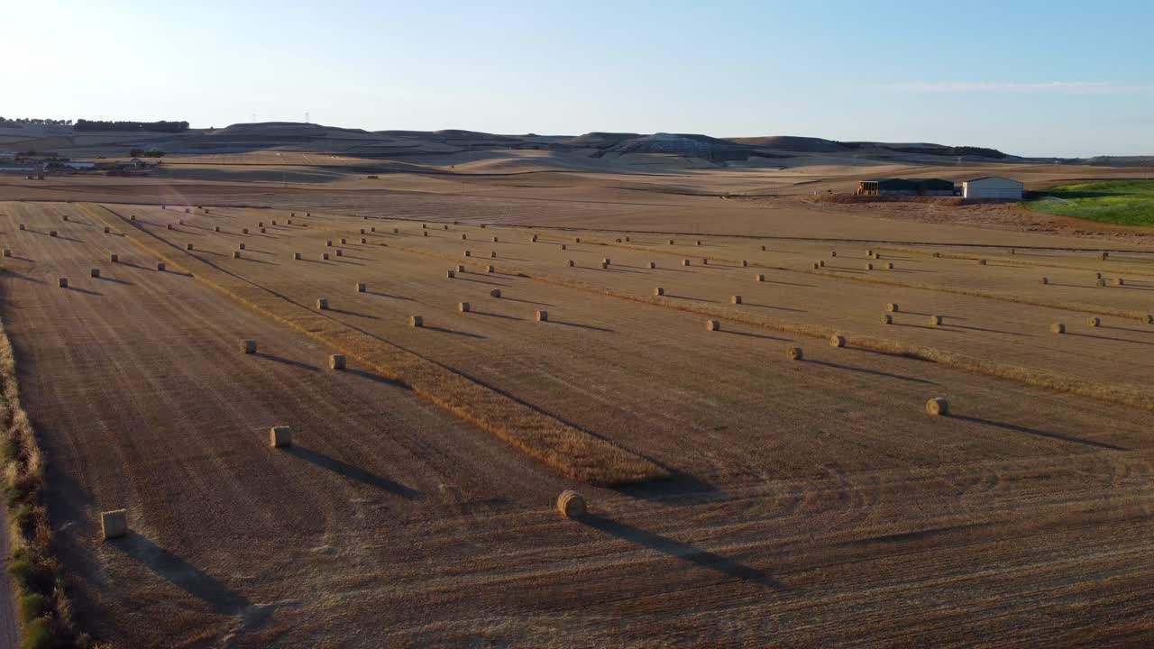 Straw bales at sunset seen from the air, drone view