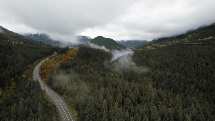 Vista aerea in movimento di una valle montuosa nebbiosa con strada tortuosa, sopra le nuvole attraverso una foresta autunnale