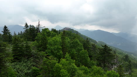 drone shot over trees, revealing the top of shiga kogen, cloudy day in japan