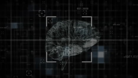 animación del cerebro digital sobre el procesamiento de datos en fondo negro