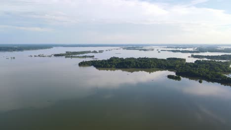 Forested-flooded-area-submerged-in-flood-water