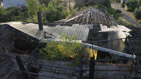 destroyed rooftop with green tree growing at abandoned industrial area, aerial view