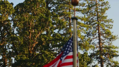 american flag flying on a flagpole with trees in sunny background