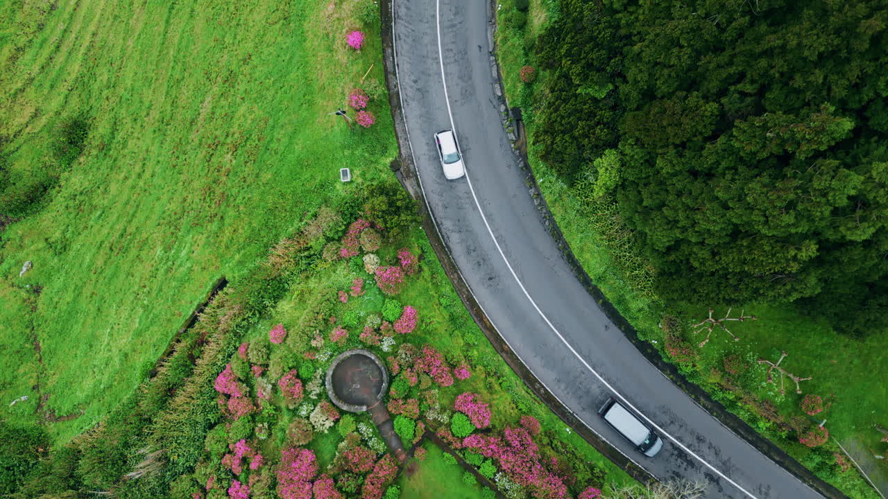 아스팔트 고속도로를 는 자연 드론  뷰. 숲의 도로를 여행하는 자동차