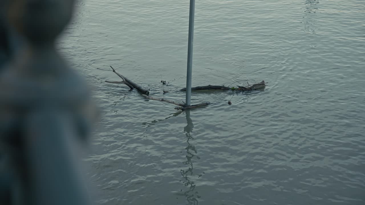 Flood Debris in River