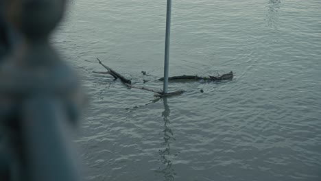 flood debris in river