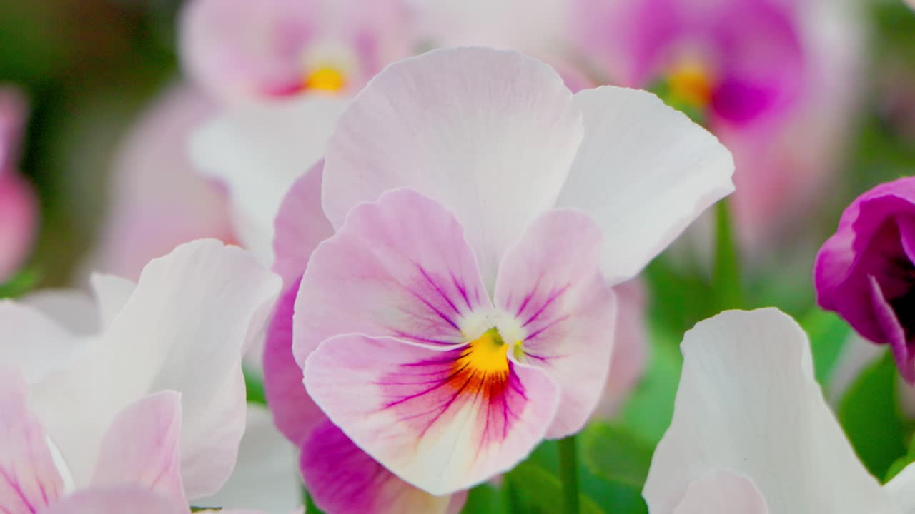 요코하마 최고의 전망