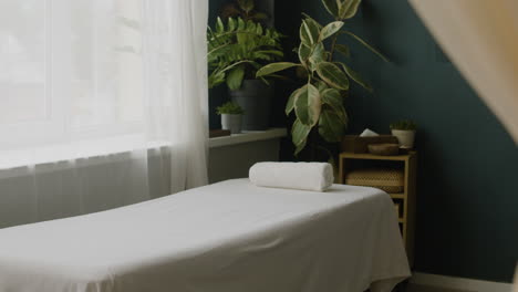 spa treatment room with massage table and plants