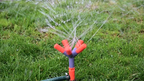 static view, rotation of automatic plastic garden water sprayer of pulverizer with five nozzles