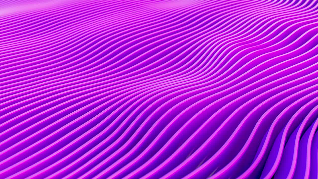 Animation of wave movements of pink geometric lines