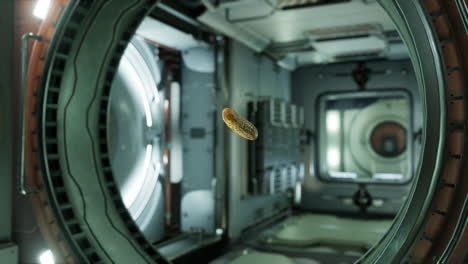 floating food in a futuristic spaceship corridor