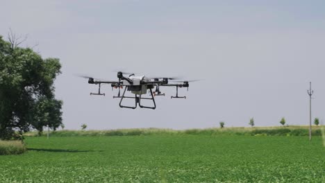 huge agricultural automated crop spraying drone fly above green farmland