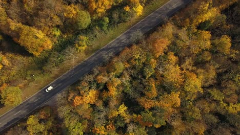 road through autumn forest from above, germany