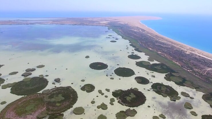 Aerial View of Coastal Lagoon with Circular Vegetation Islands
