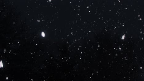 nevadas a cámara lenta en una noche fría y oscura de invierno, desplazándose hacia abajo hacia una cerca cubierta de nieve