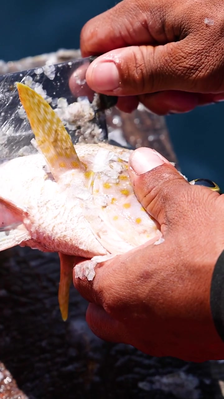 Man cleaning fish on a boat in Phuket