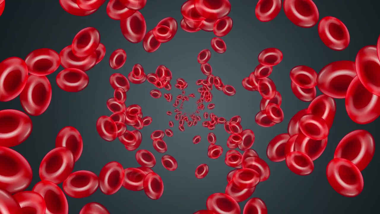 Red blood cells drift right in a seamless loop against a dark gradient background.