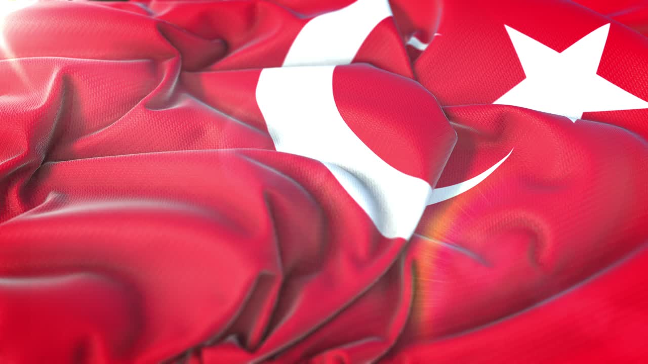 터키 발 루프: 현실적인 4k 30fps 터키의 발, 바람에 흔들리는 고기, 매우 상세한 직물 텍스처를 가진 완벽한 루프.