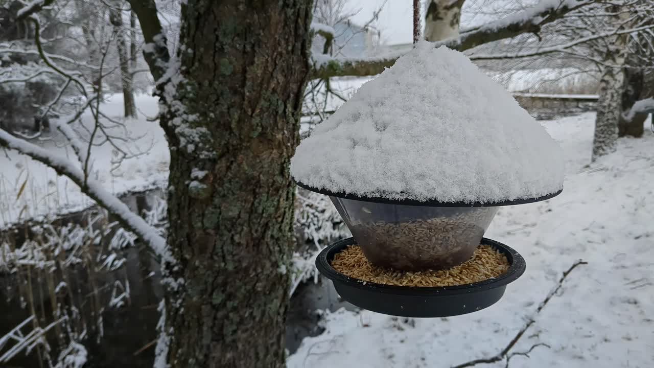 겨울 풍경 의 눈 인 새 먹이기