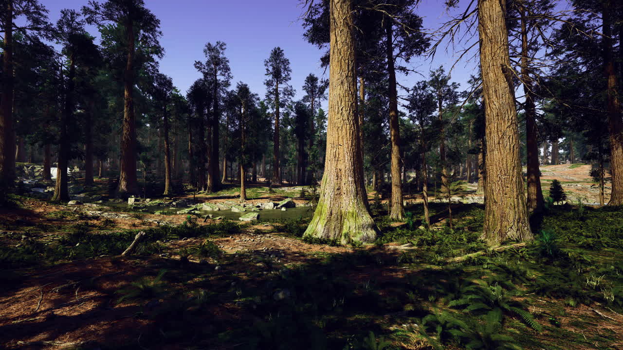 Forest landscape with tall trees and lush greenery in bright sunlight