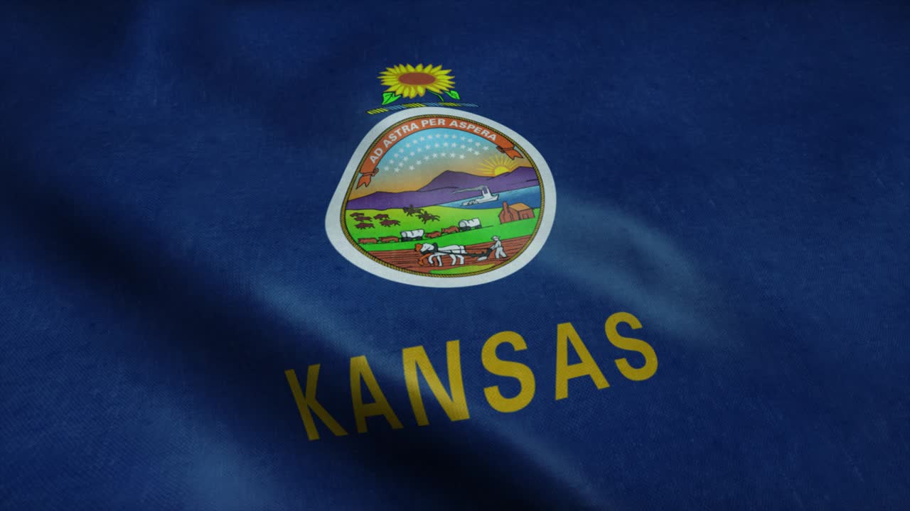 바람에 흔들리는 캔자스 주 발: 매우 상세한 직물 텍스처를 가진 완벽한 루프