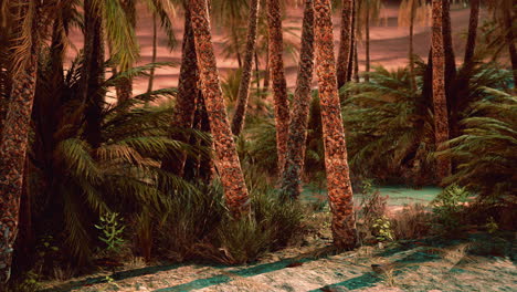 palm-trees-in-the-desert-with-sand-dunes