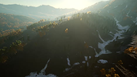 Majestätische-Bäume-Mit-Sonnigen-Strahlen-Im-Bergtal