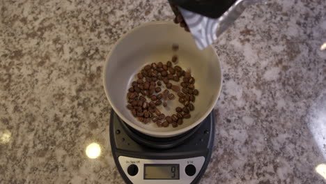los granos de café se dejan caer en un tazón sentado encima de una báscula de alimentos